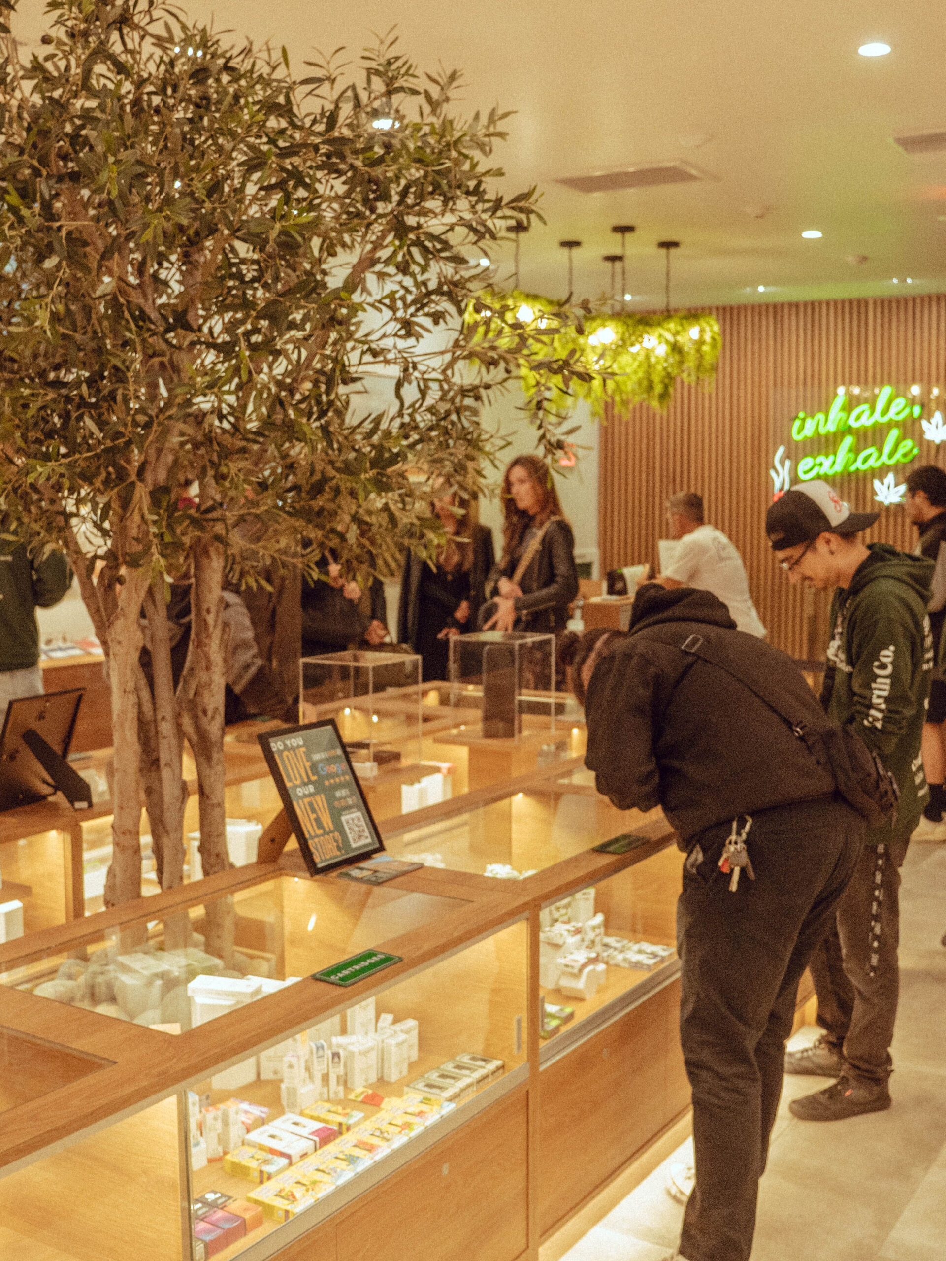 Highland Park Dispensary Showroom 1