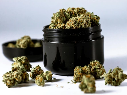 Click here to learn more about our delivery 